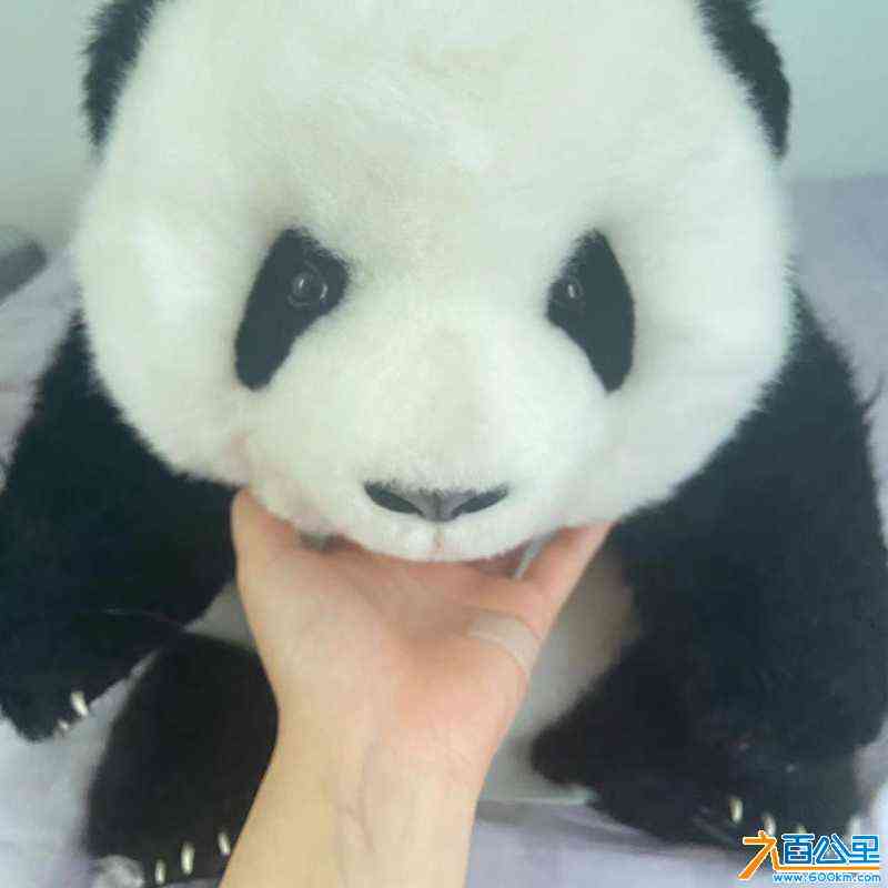 wechat_upload17043465236596439b25d55