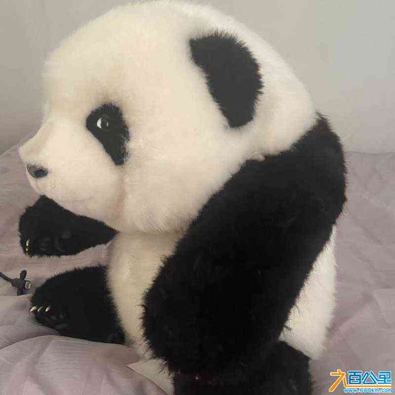 wechat_upload17043465246596439ca7778