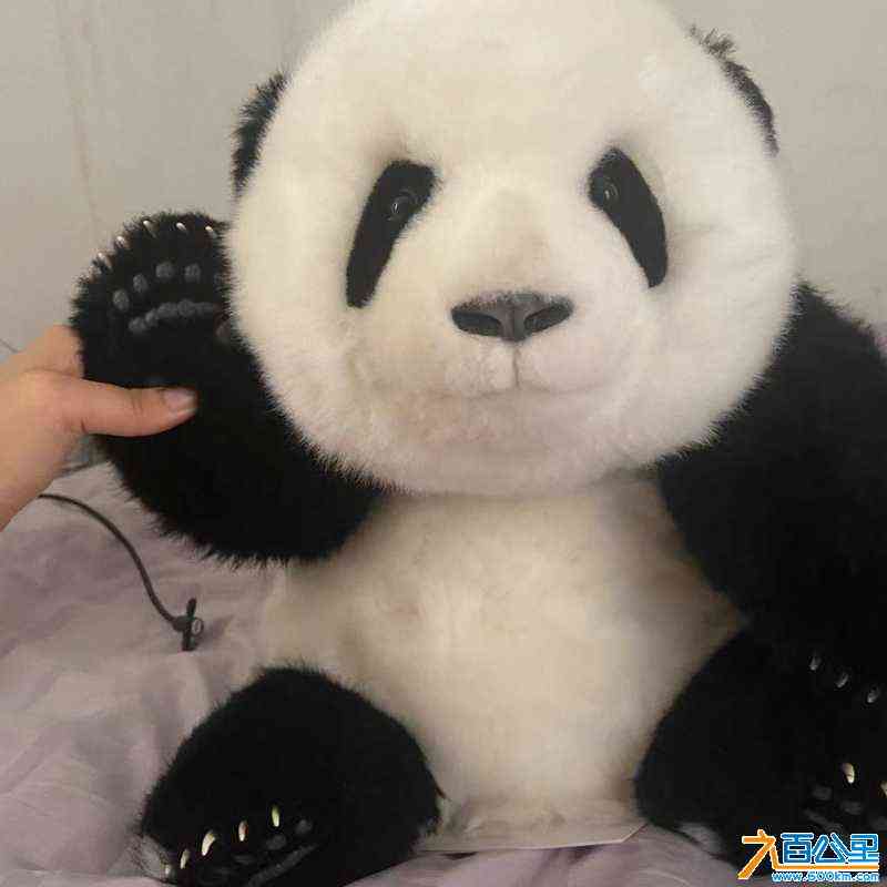 wechat_upload17043465266596439e13b70