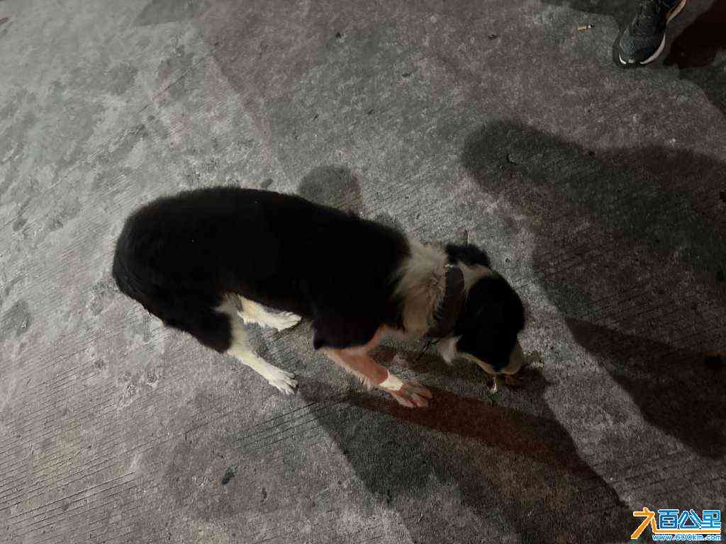 wechat_upload1704367358659694fe1b531