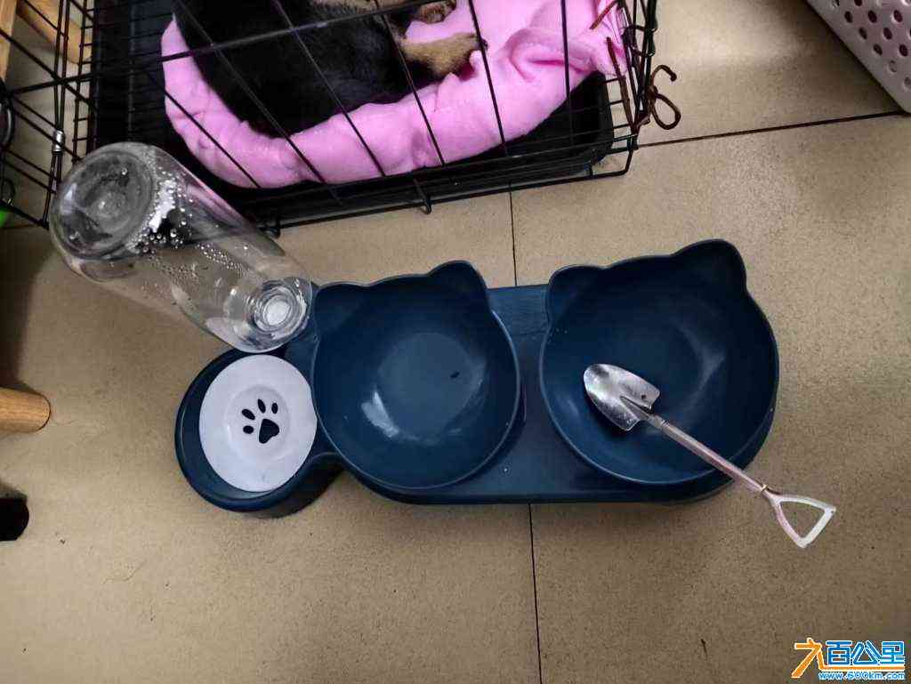wechat_upload1704548769659959a138717