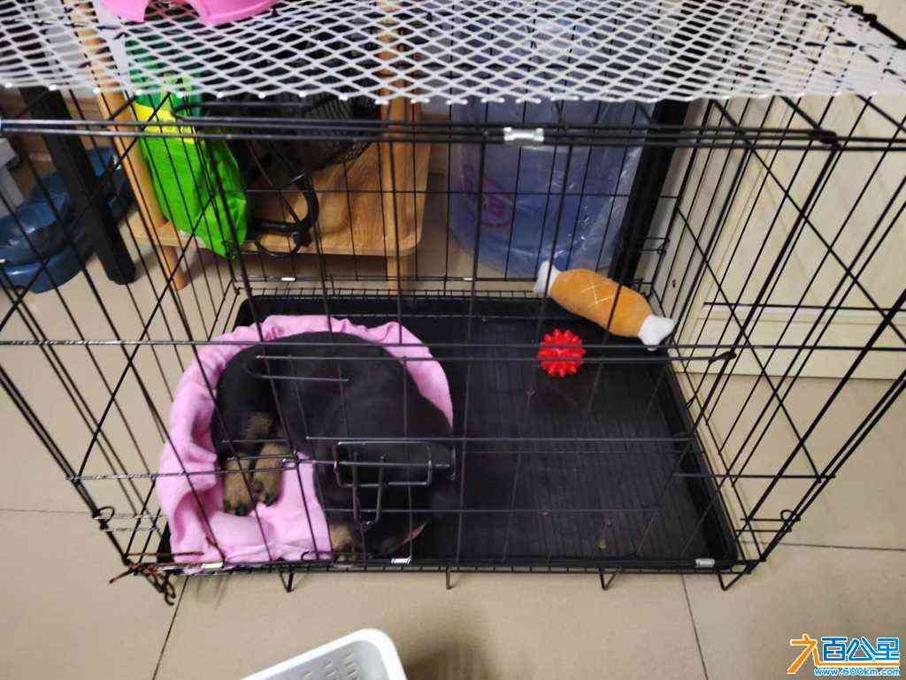 wechat_upload1704548772659959a447822