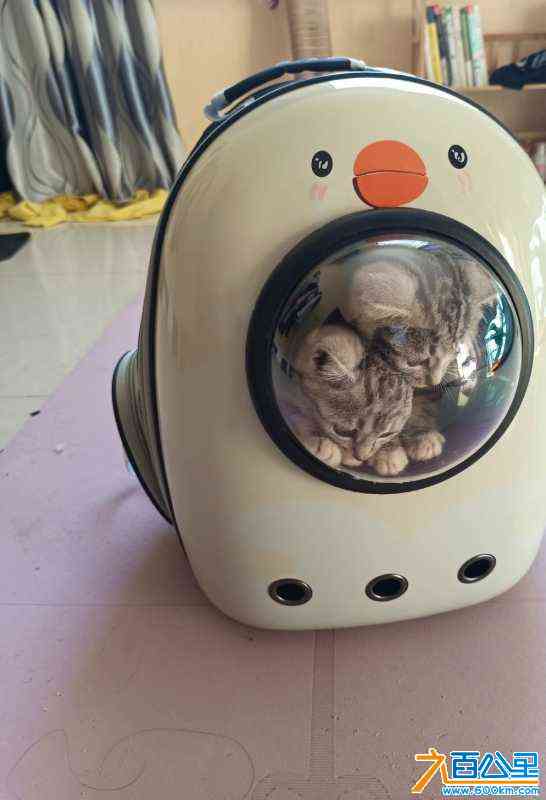 wechat_upload170455419565996ed3a5177
