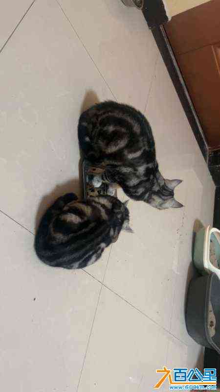 wechat_upload170455419765996ed5b2224