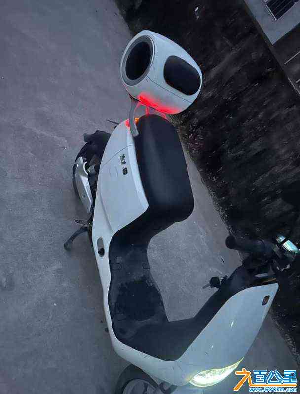 wechat_upload1704942840659f5cf8caca0
