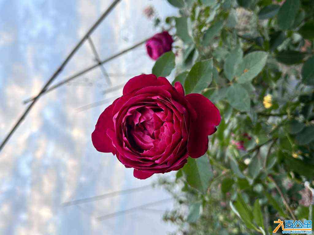 wechat_upload170515659465a29ff2734fb