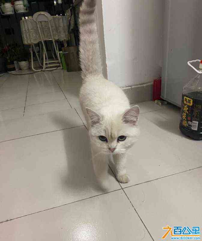 wechat_upload170528665265a49bfca56dd