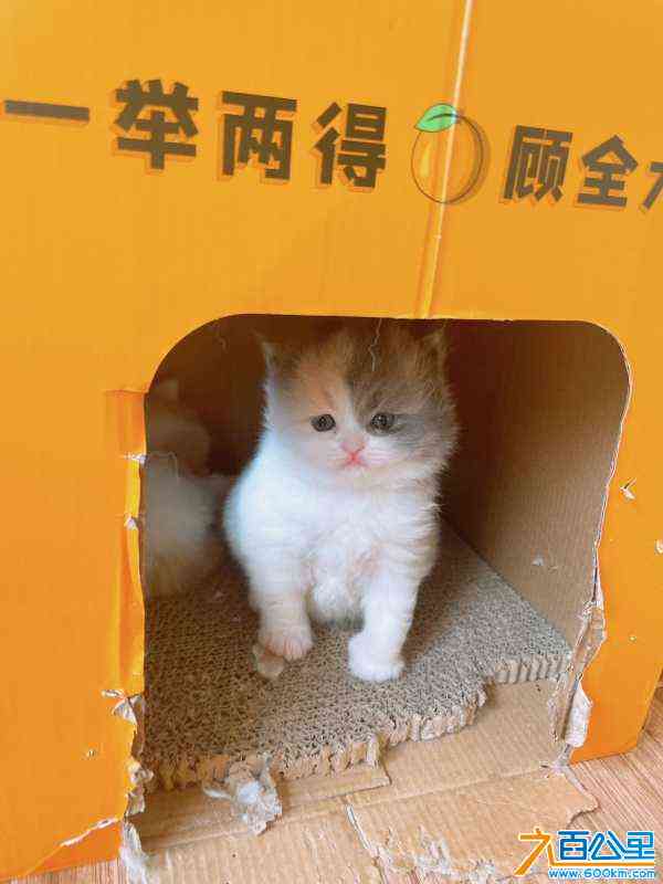 wechat_upload170562922965a9d62d341e5