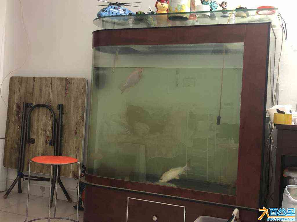 wechat_upload170574935765abab6db29b1