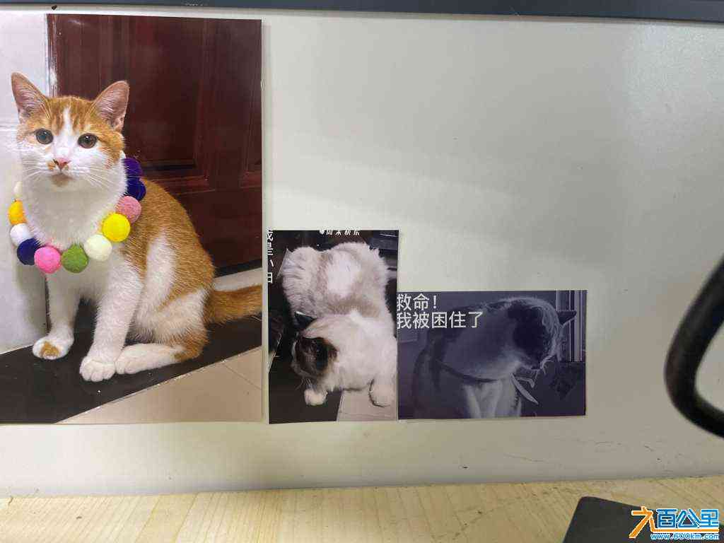 wechat_upload170597679065af23d683150