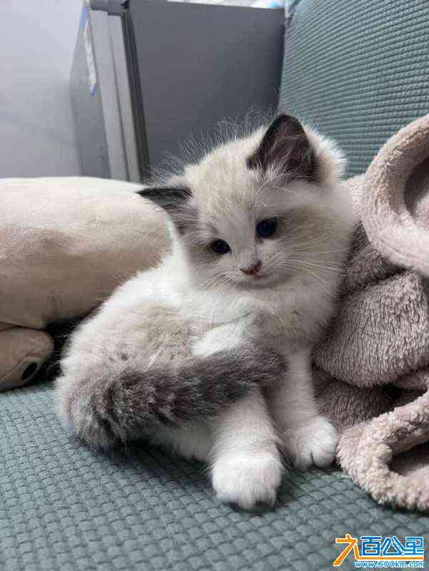 wechat_upload170653470965b7a73580cb5