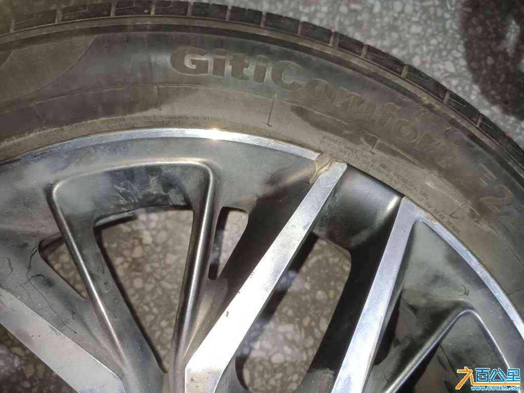 IMG20240201215328.jpg