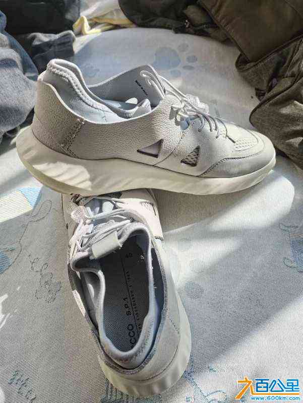 wechat_upload170694382165bde54d5d7a3