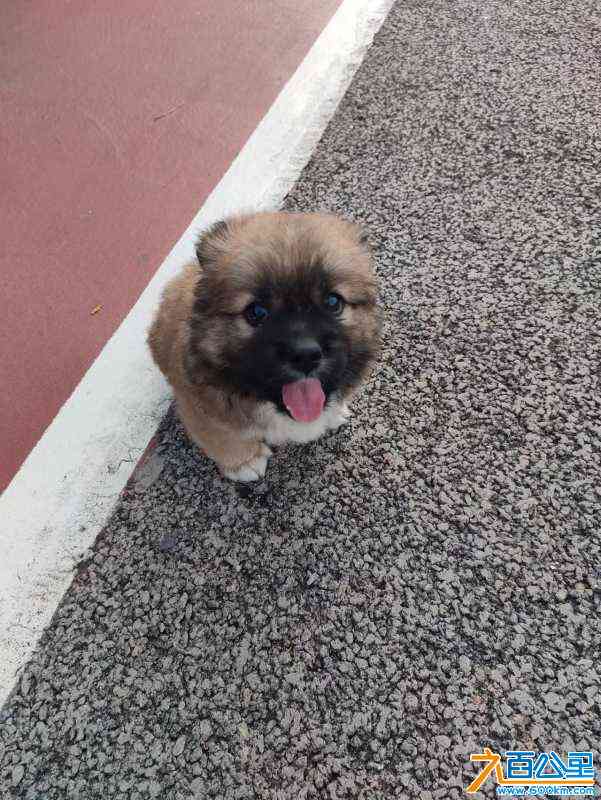 wechat_upload170874435765d95ea52154f