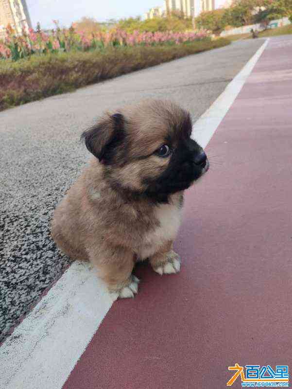 wechat_upload170874435965d95ea7064e5
