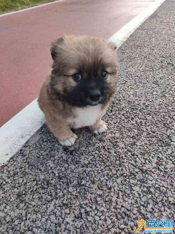 wechat_upload170874436065d95ea8e347f