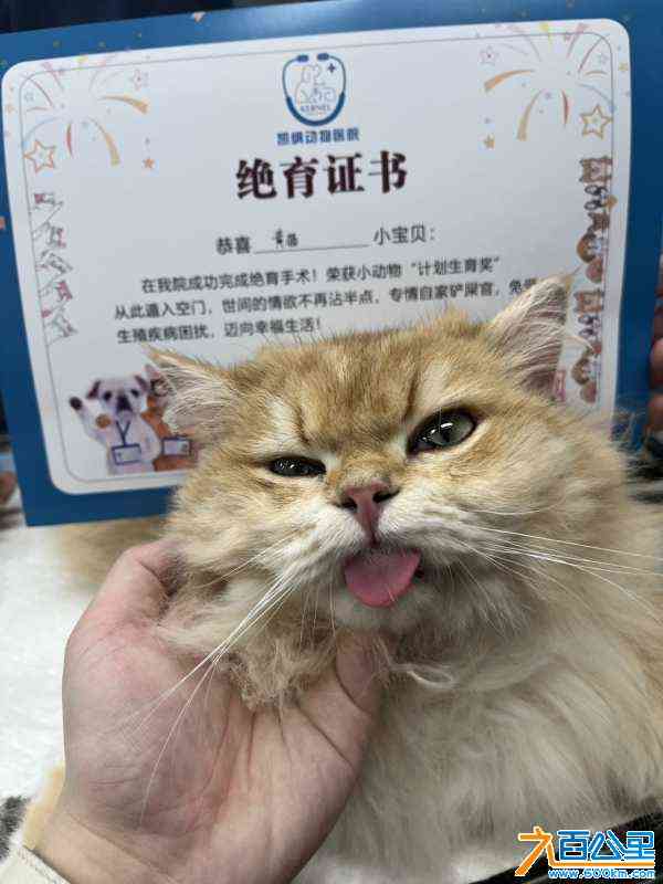 wechat_upload170895576665dc987606057
