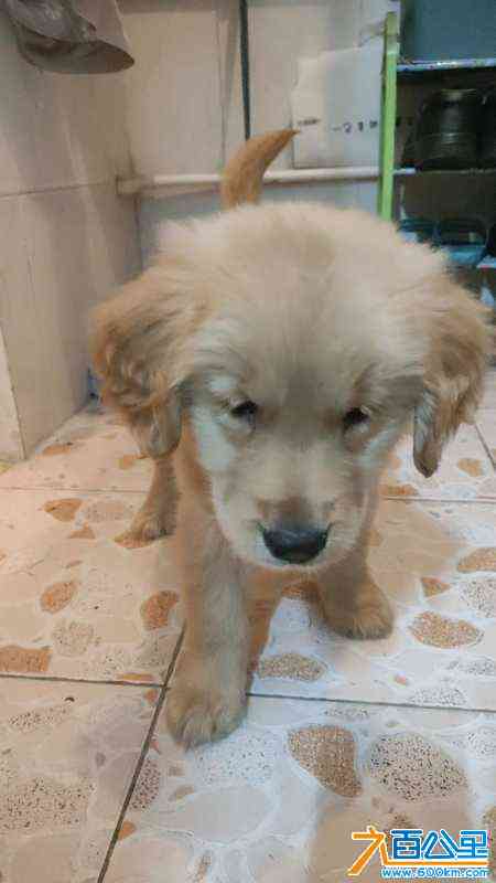 wechat_upload170904874865de03acbc979