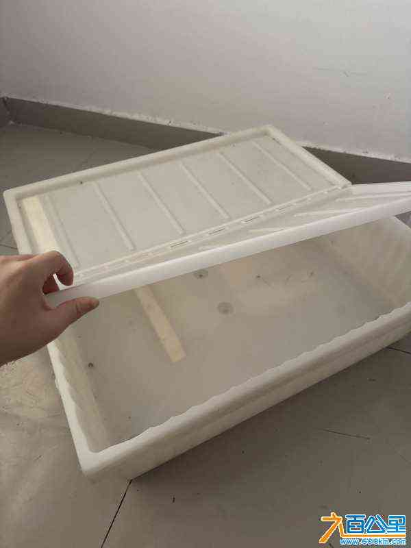 wechat_upload170969250065e7d6545a314