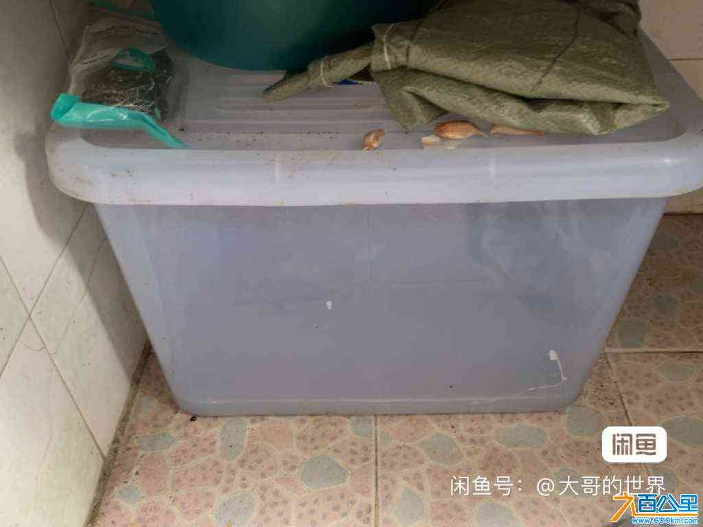 wechat_upload170971436665e82bbe57437