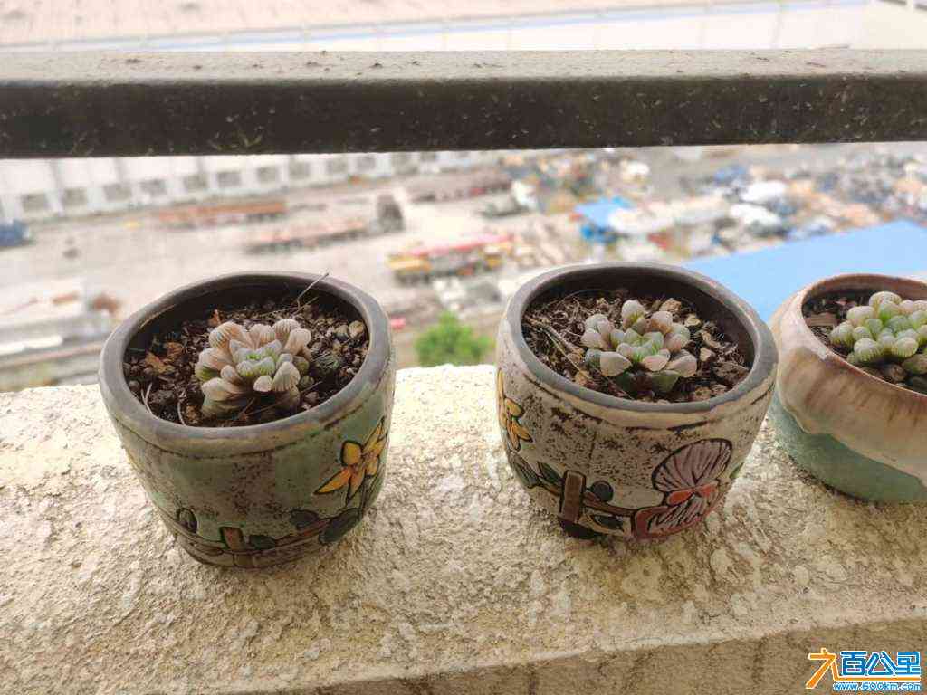 wechat_upload170986929565ea88ef39674