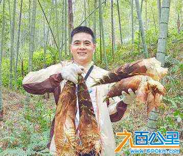 wechat_upload171021681065efd66a897ae