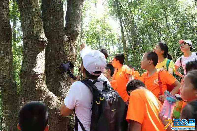 wechat_upload171021681265efd66c93366