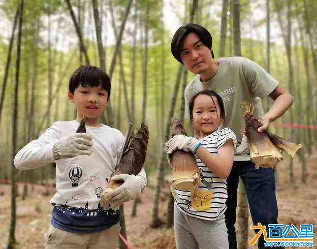 wechat_upload171021686965efd6a548528