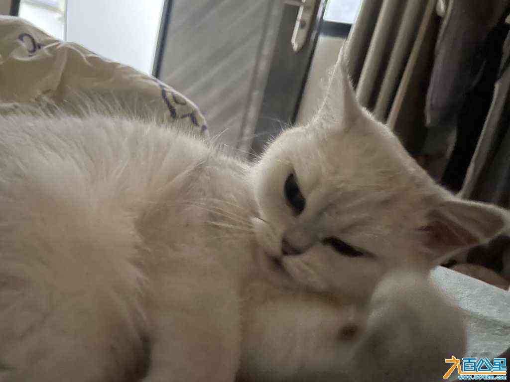 wechat_upload171050900965f44bd1ce945