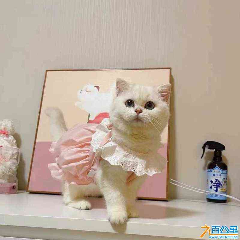 wechat_upload171050910965f44c35c3dc9