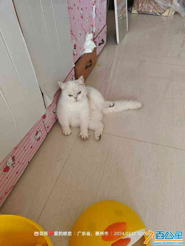 wechat_upload171065826665f692da98607