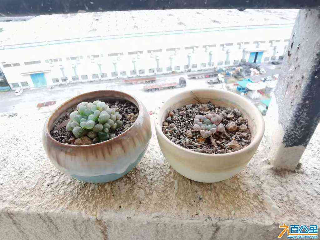 wechat_upload171106755065fcd19e4b9c3