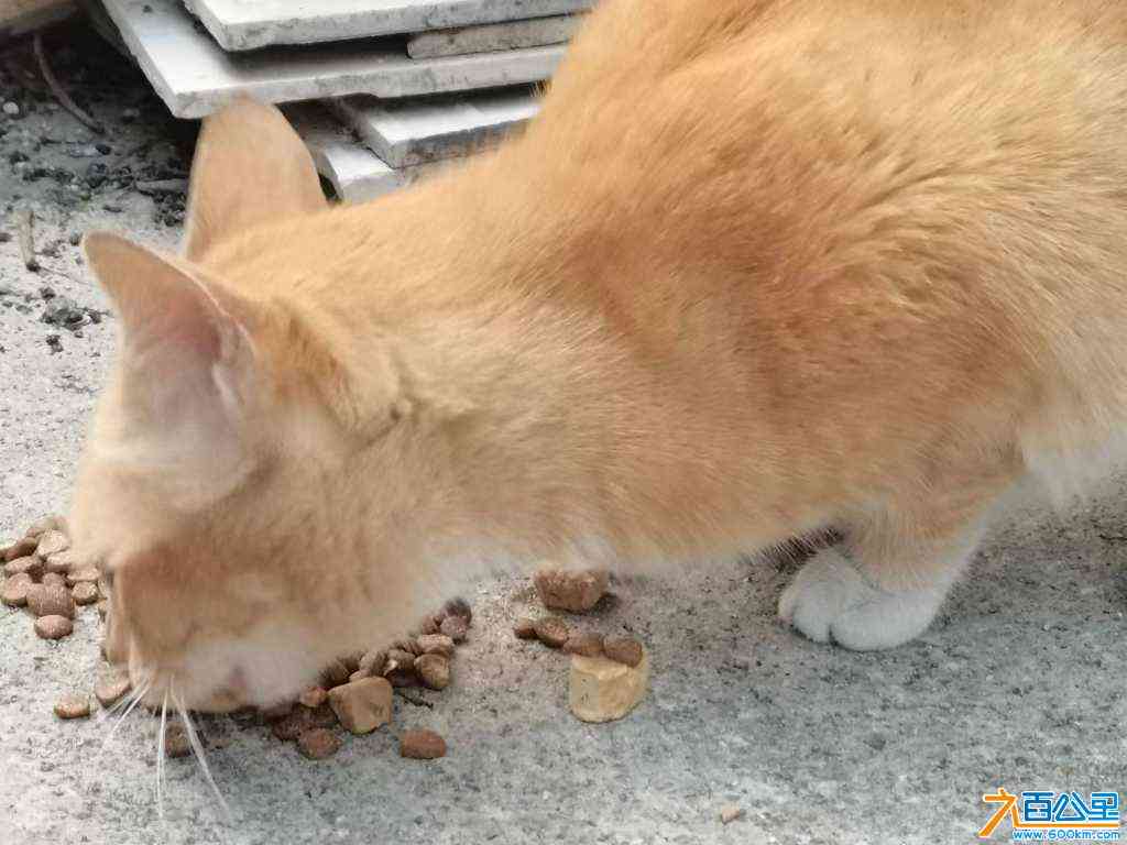 wechat_upload171107027765fcdc45dc3f7