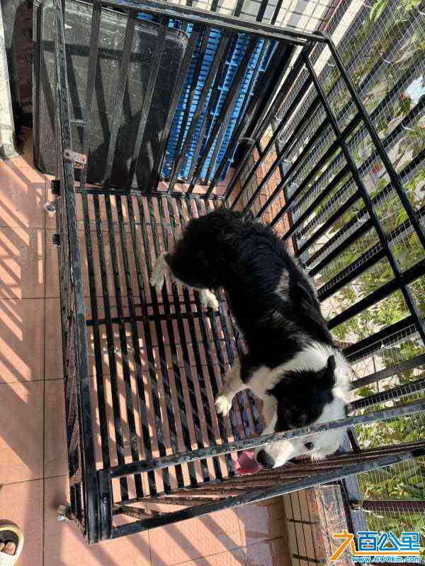 wechat_upload17112763786600015ac59e4