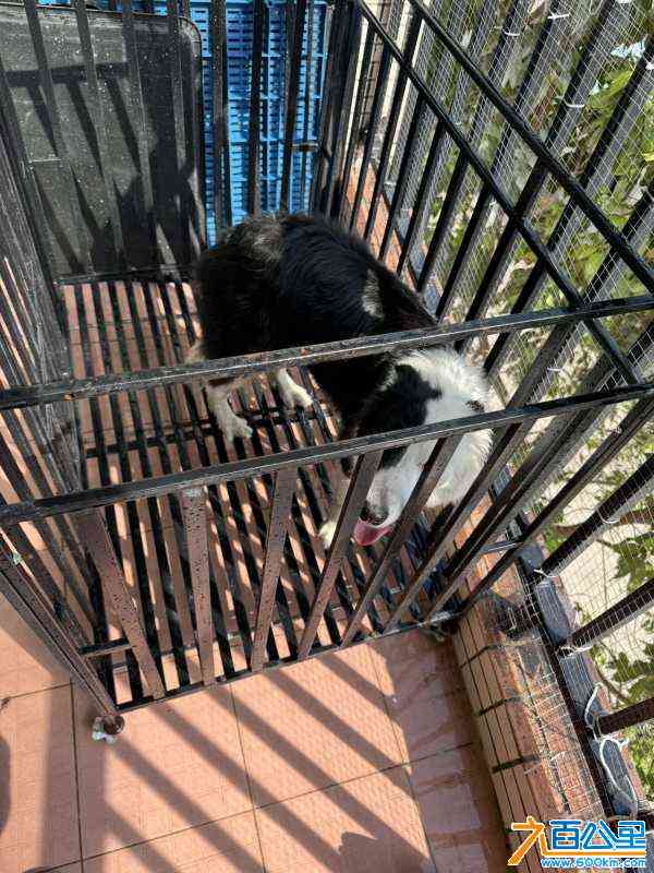 wechat_upload17112763826600015e00f3a