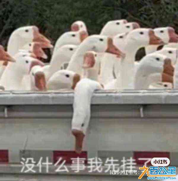 wechat_upload171142737466024f2e10f2e