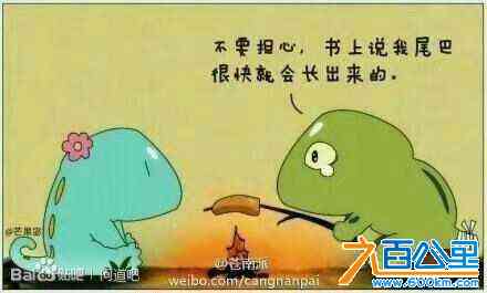 wechat_upload171162692566055aad10f95