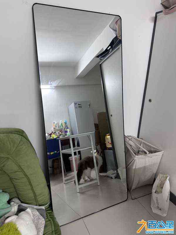 wechat_upload17118520556608ca177482d