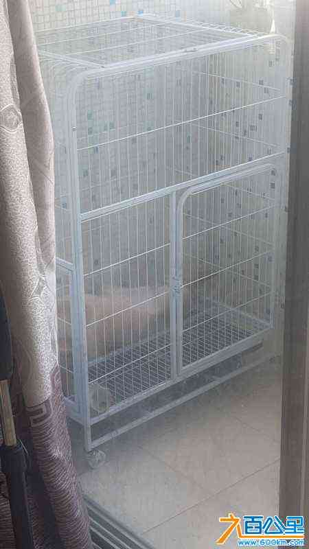 wechat_upload17128784286618735c2e75f