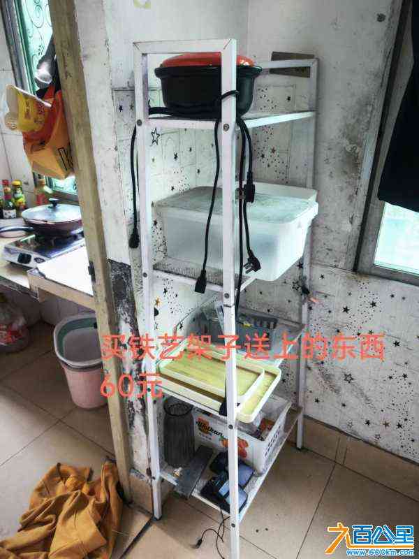 wechat_upload1713177575661d03e744c8a