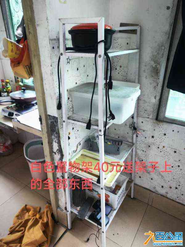 wechat_upload1713234869661de3b5ca14d