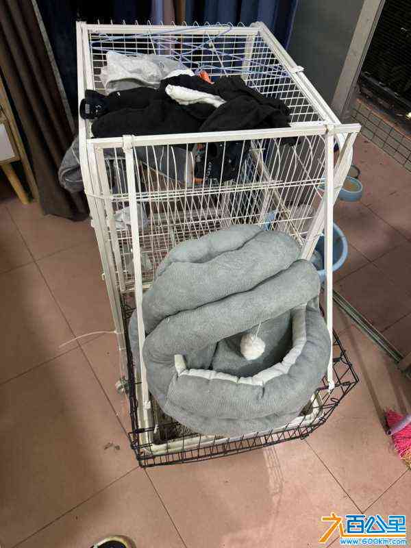 wechat_upload1713408306662089320962c