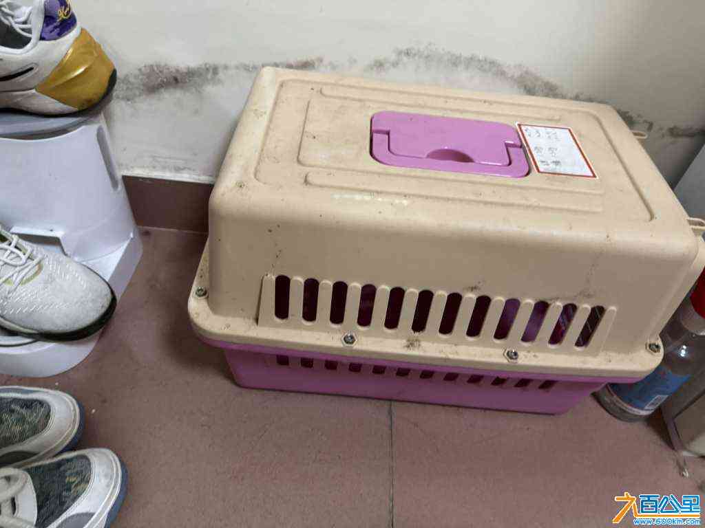 wechat_upload17134083076620893364549