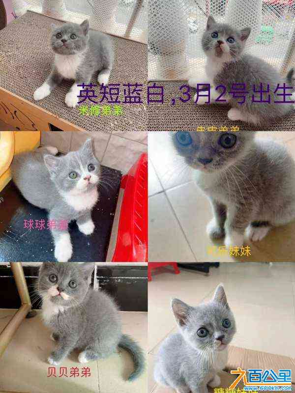 wechat_upload171383514966270c8d6d545