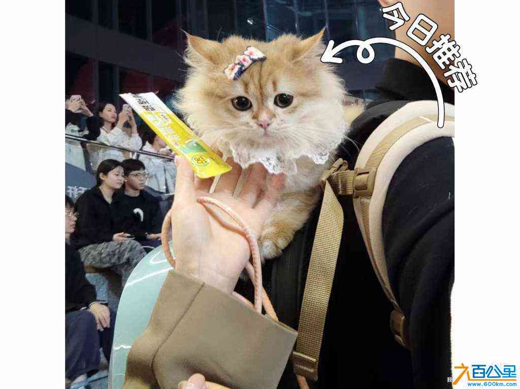 wechat_upload17139390306628a2560df9f