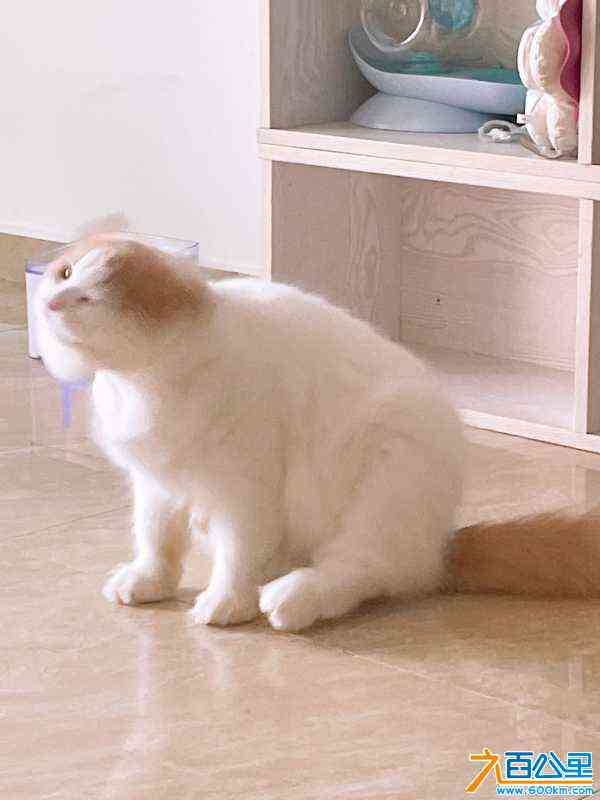 wechat_upload1714044286662a3d7e4cc70