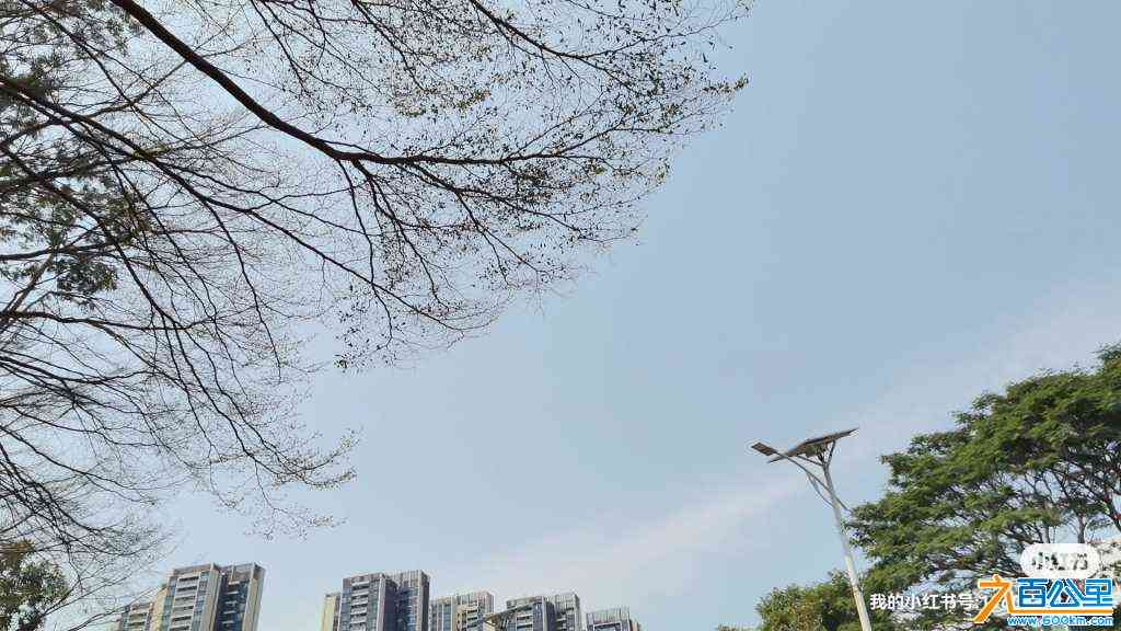 wechat_upload1714287503662df38f41273