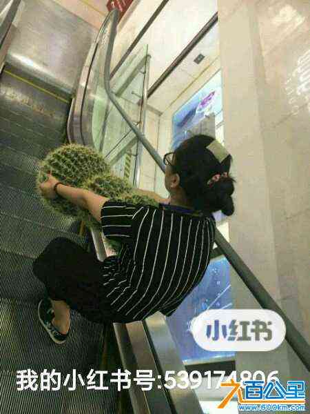 wechat_upload1715168186663b63ba67cf1