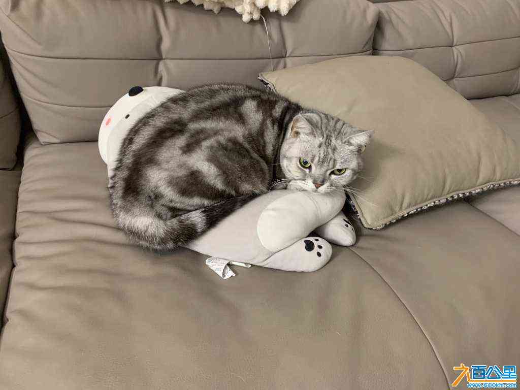 wechat_upload1715171100663b6f1c90e06