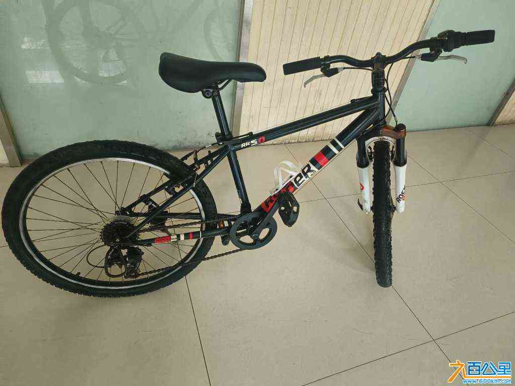 IMG20240512154536.jpg